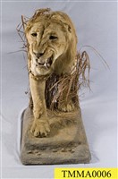Lion Collection Image, Figure 1, Total 14 Figures